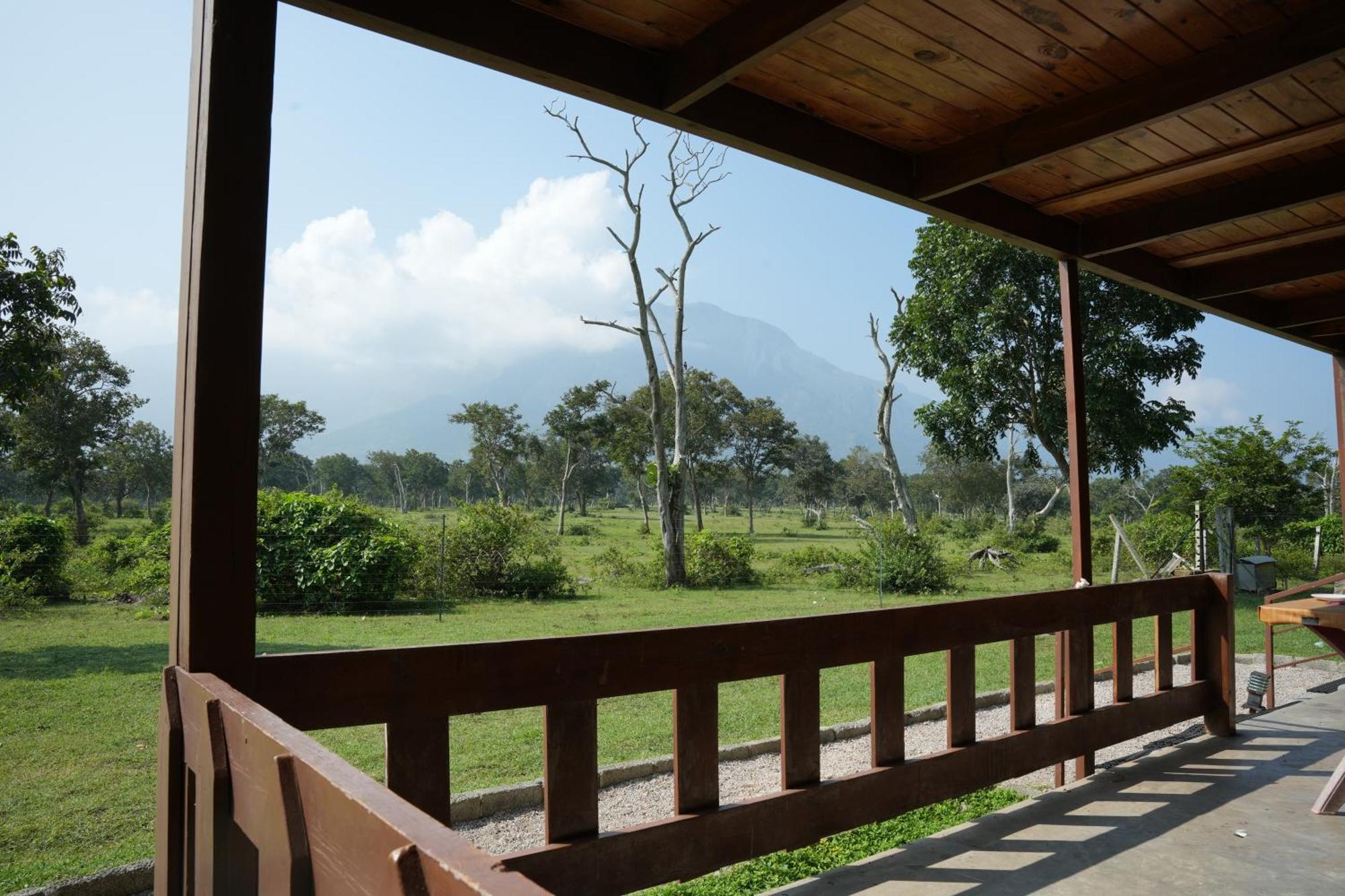 Labdhi Resorts Masinagudi- Stag Groups Not Allowed Экстерьер фото